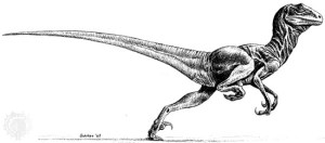 Deinonychus Bakker