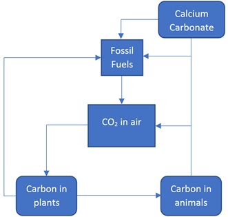 Carbon Cycle